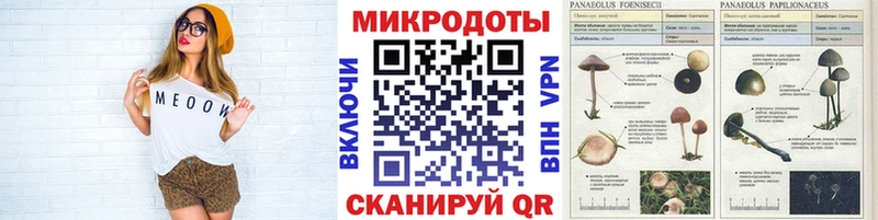 Псилоцибиновые грибы ЛСД Лянтор